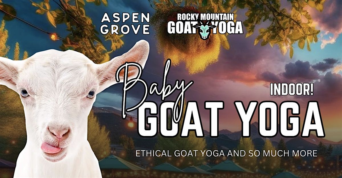 Baby Goat Yoga - December 8th  (ASPEN GROVE)