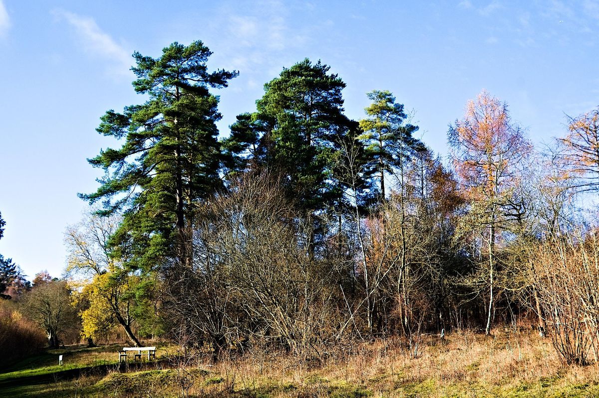 Gifts in wills event at Warburg Nature Reserve, Oxfordshire