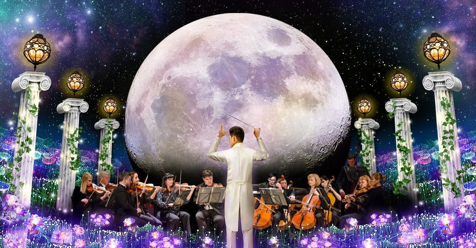 The Best of Hans Zimmer and John Williams by Moonlight: A Chamber Orchestra Tribute in Dublin