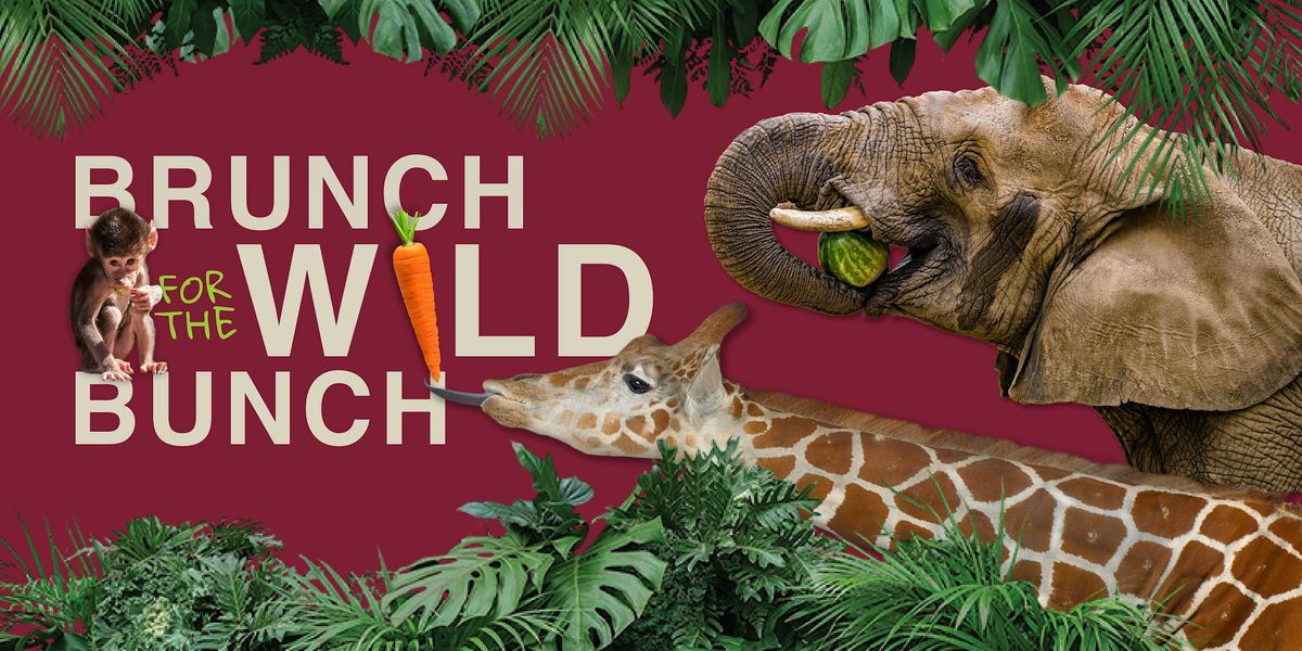 Brunch for the Wild Bunch: 3:00pm Giraffe Feeding - September 21, 2024