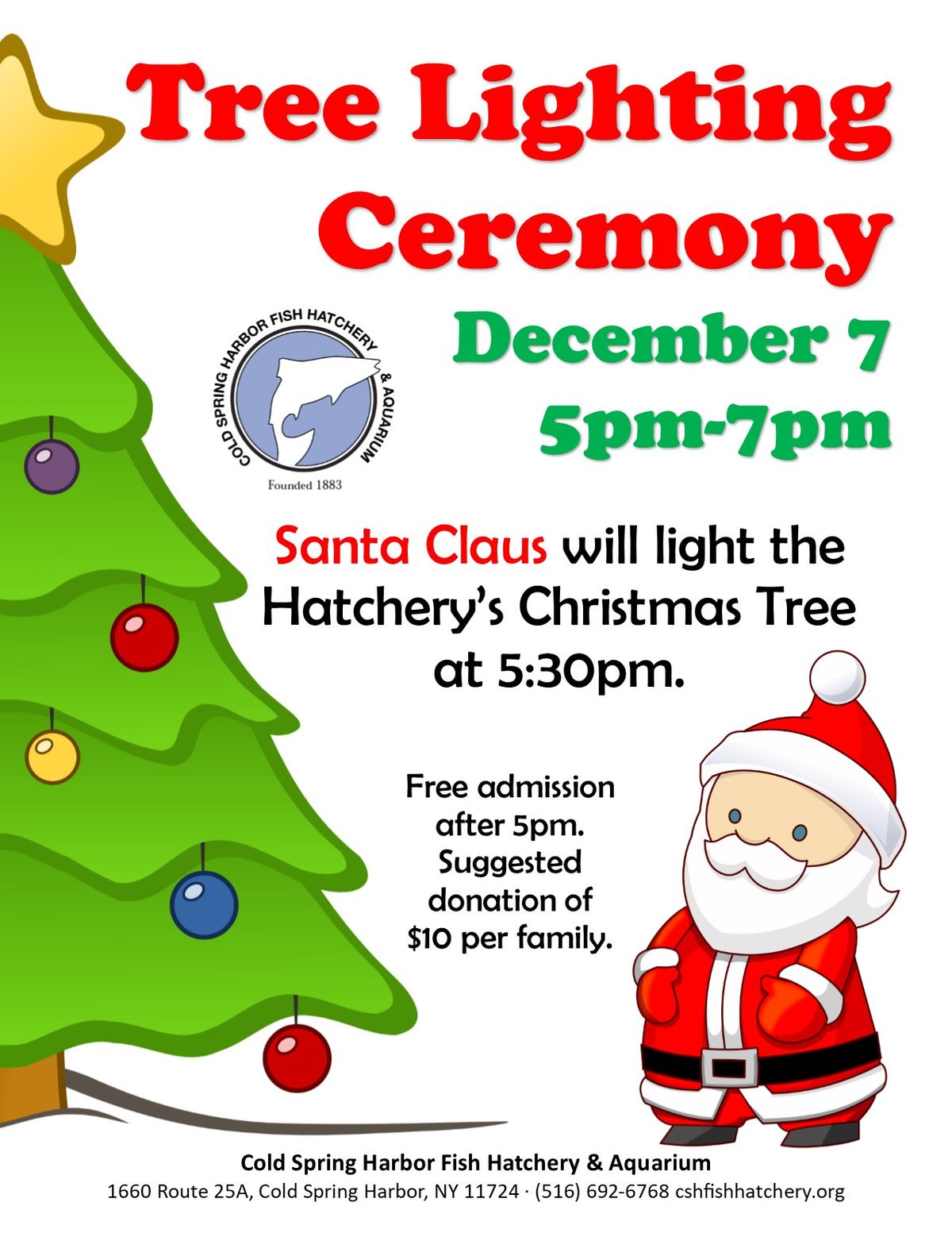 Tree Lighting Ceremony