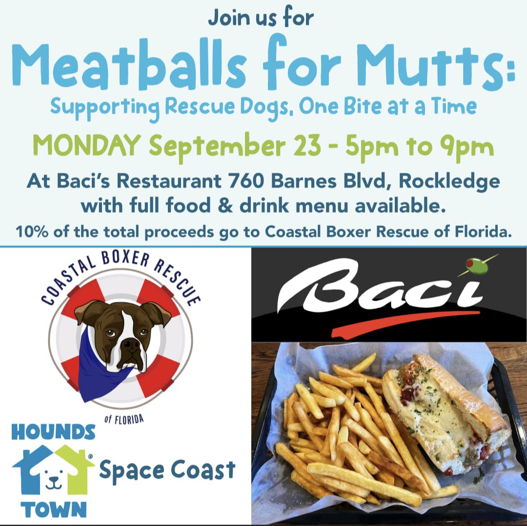 Meatballs for Mutts