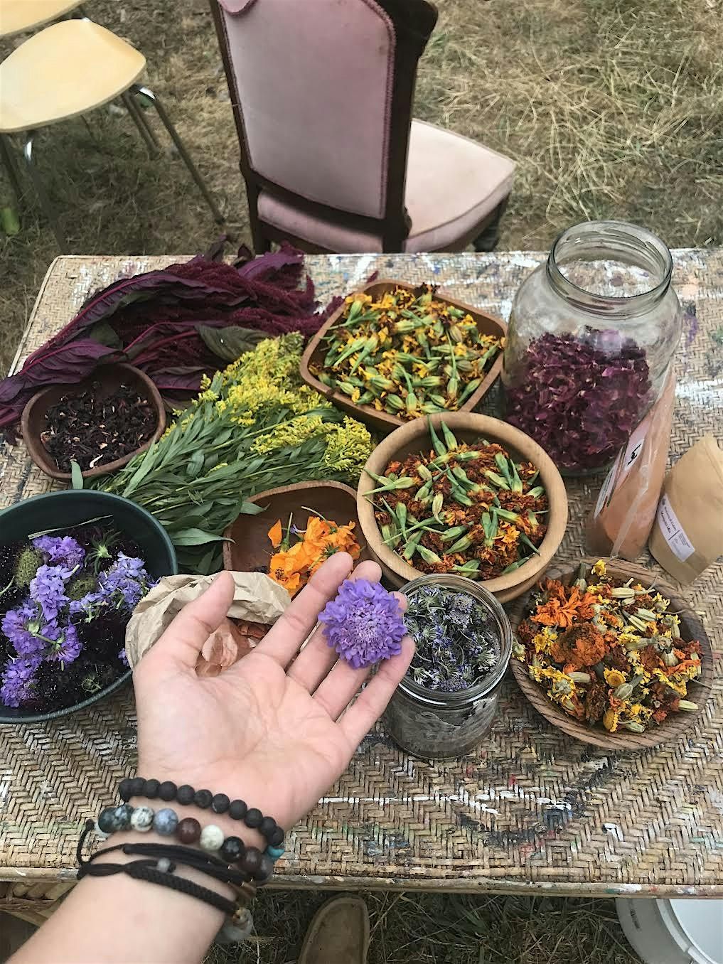 Cultivating a Natural Dye Practice