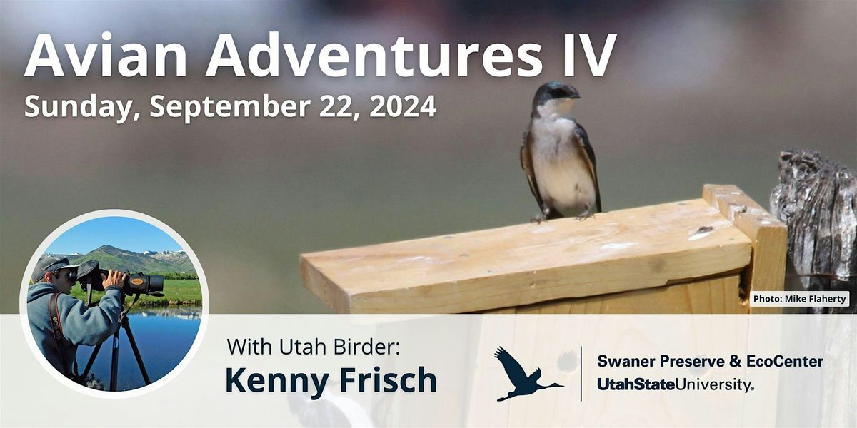 Fall Avian Adventures IV