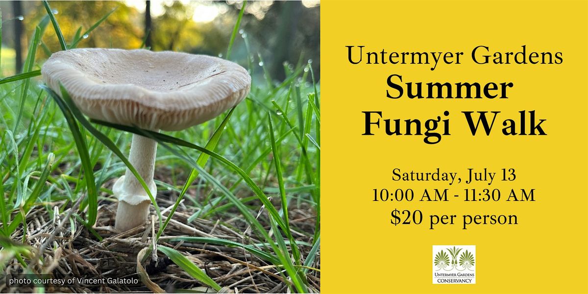 Summer Fungi Walk - July 13