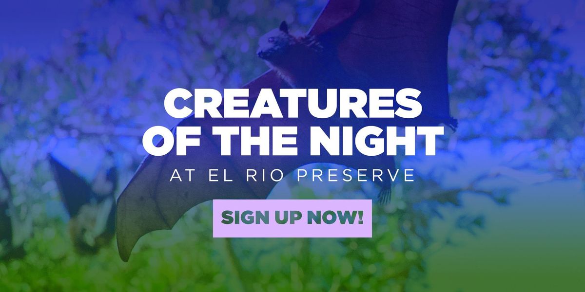 Creatures of the Night at El Rio Preserve - May