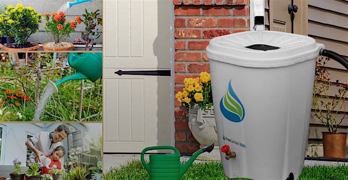 Rain Barrel , Harvesting rain water