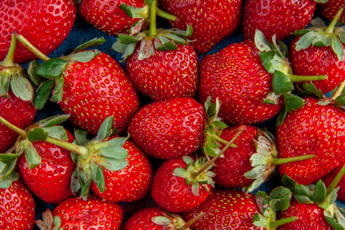 Vista Strawberry Festival Vendor