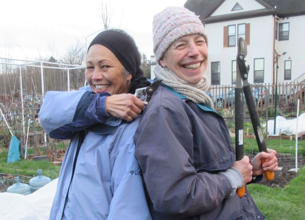 Pruning Blueberries for Productivity - Digging Deeper Saturdays