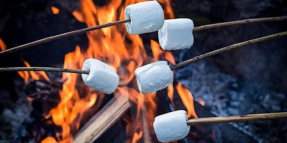 Family Campfire S'mores & Hot Chocolate, Burton Dassett Hills Country Park