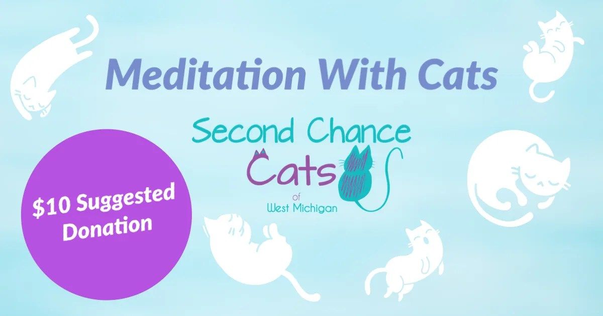Meditation with Cats - Welcoming Spring