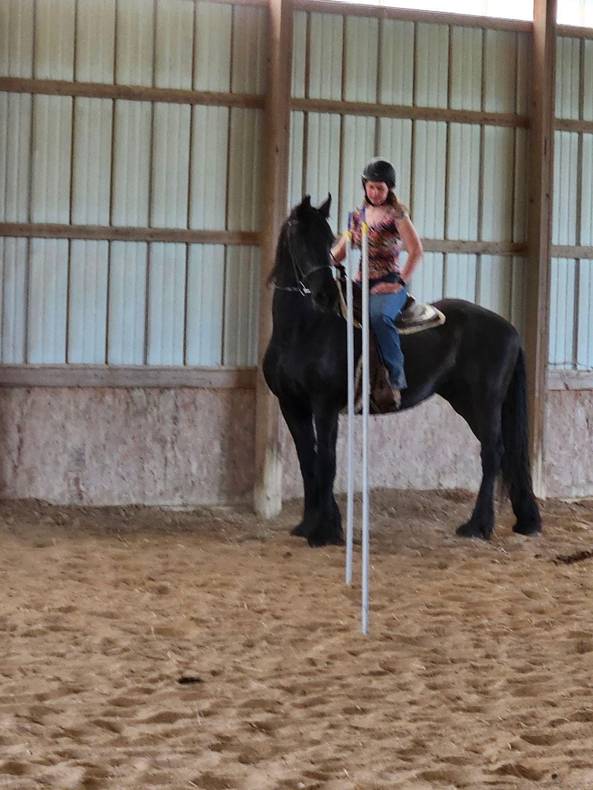 Pentamere regional equestriam practice 