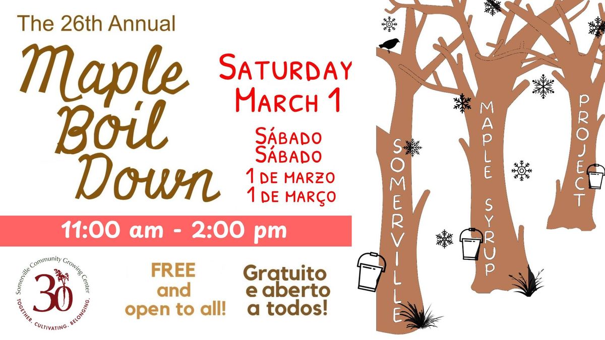 Somerville Maple Boil Down