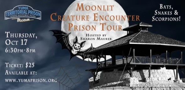 Moonlit Creature Encounter Prison Tour