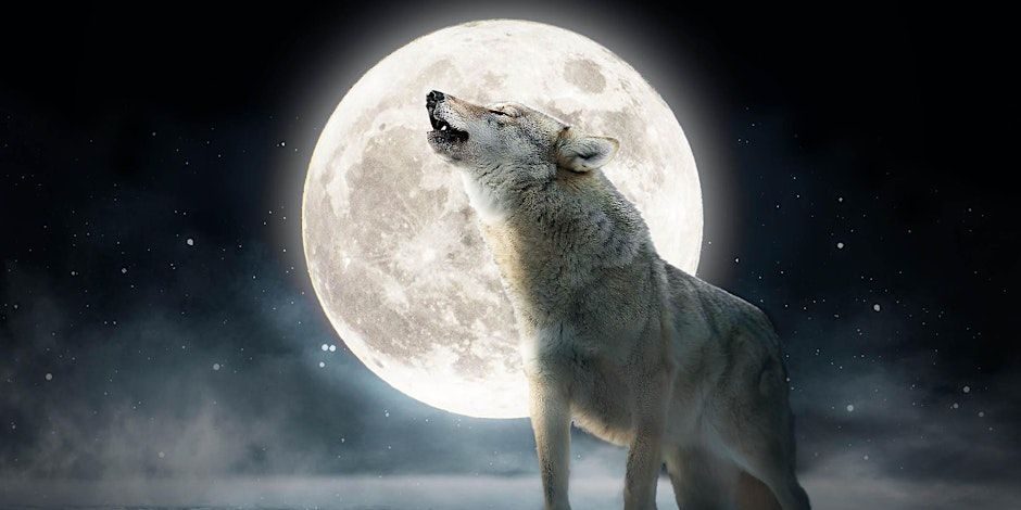 Wolf Full Moon Sound Bath Session By Donation