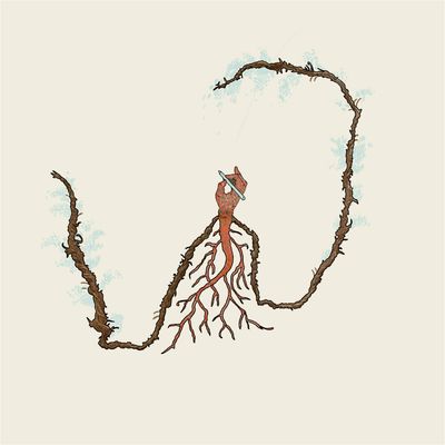 Winterfat Reading Room & Presse