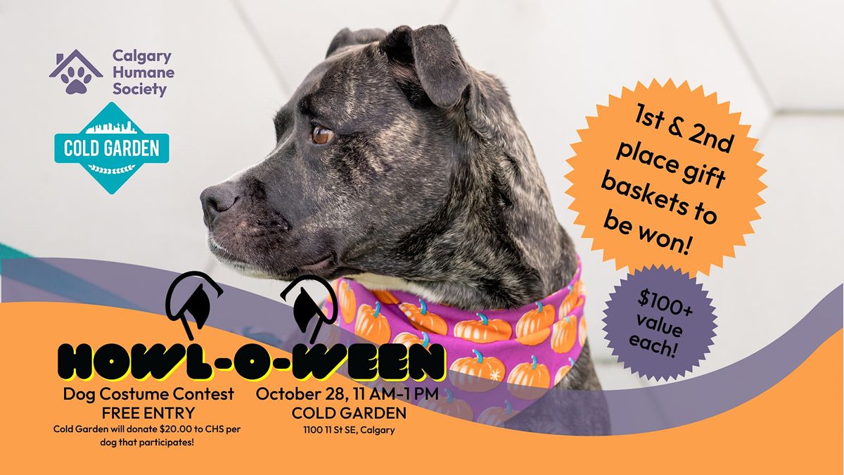 The Howl-O-Ween Dog Costume Contest, Cold Garden Beverage Company ...