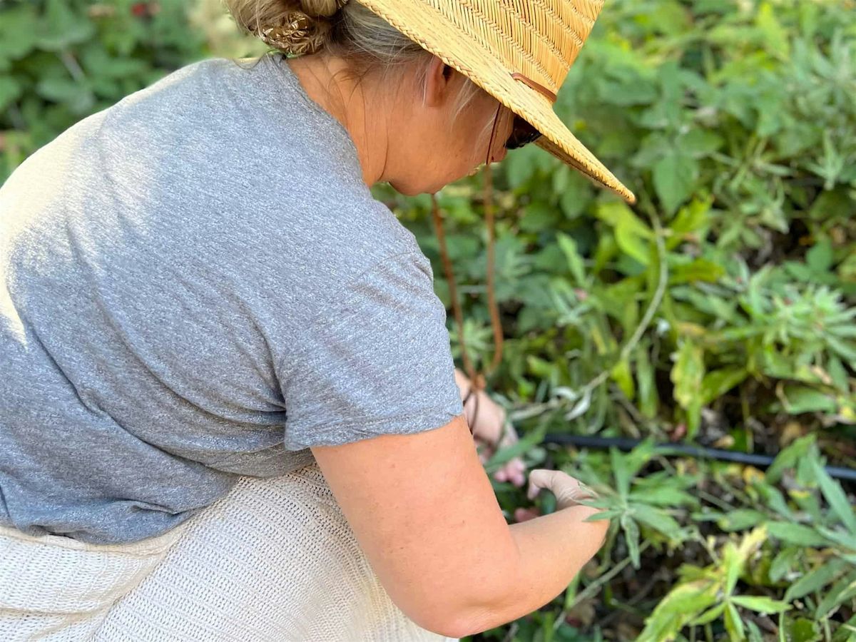 Women & Wild Plants