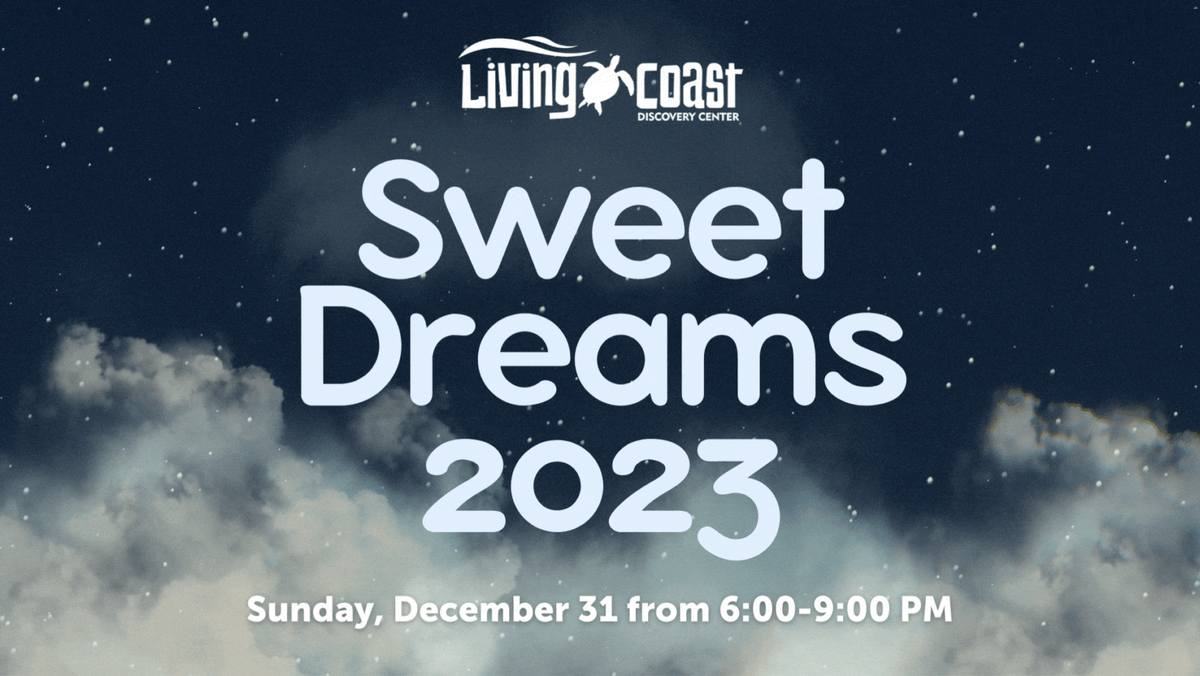 Sweet Dreams at Eagles Theatre