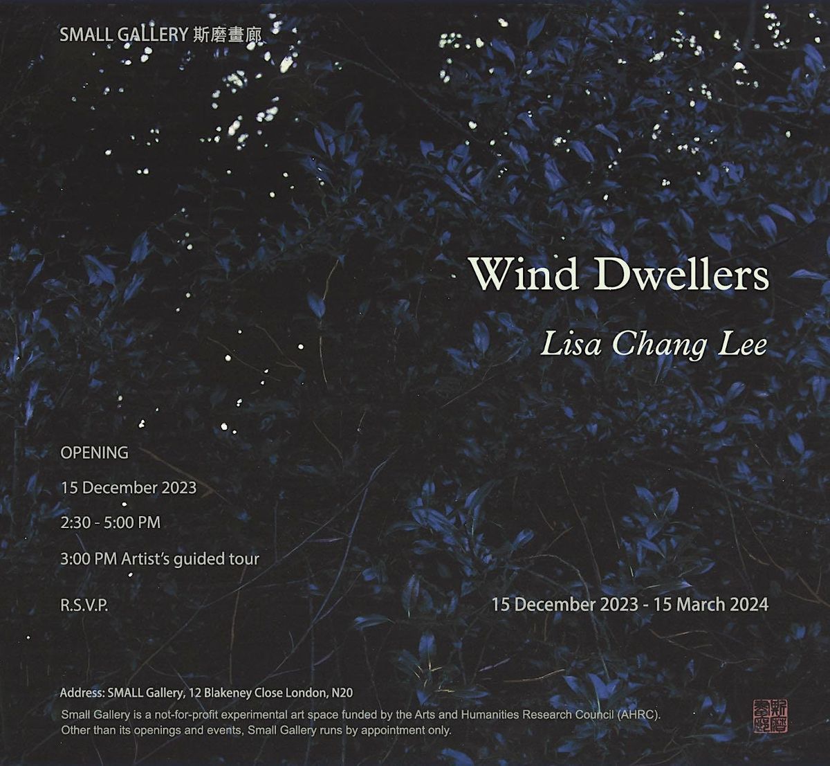 Exhibition Opening - Lisa Chang Lee: Wind Dwellers