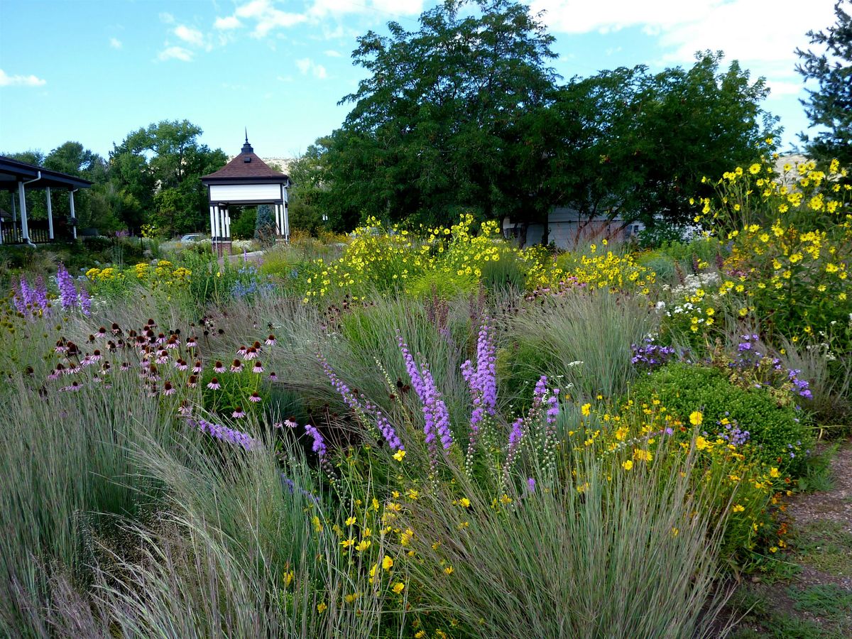 2024 Landscaping with Colorado Native Plants Conference Recordings