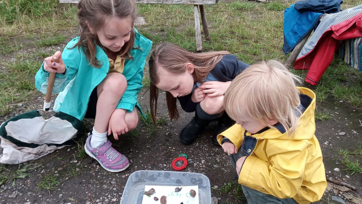 Centre for Wildlife Gardening Minibeast Mayhem Family Day, Centre for ...