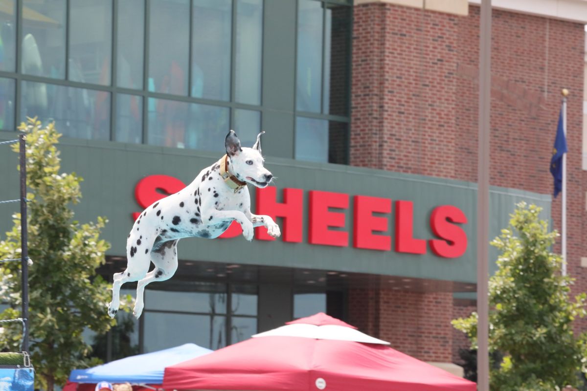 DockDogs\u00ae at Scheels Hunting Fest  |  Eau Claire, WI