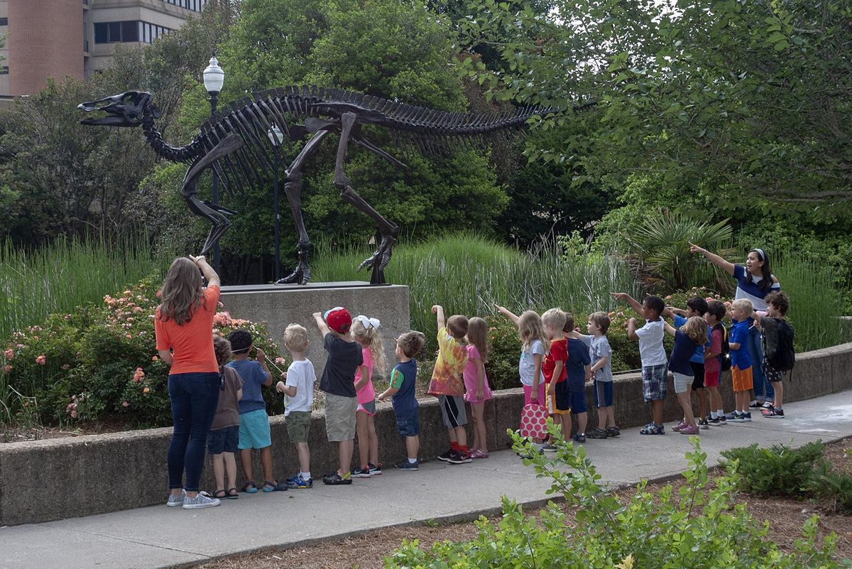 mcclung-museum-summer-camps-2022-mcclung-museum-of-natural-history-culture-knoxville-14