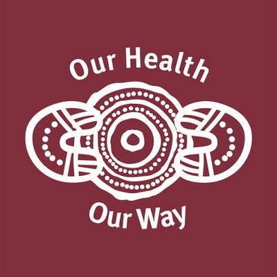 Health Equity Metro North