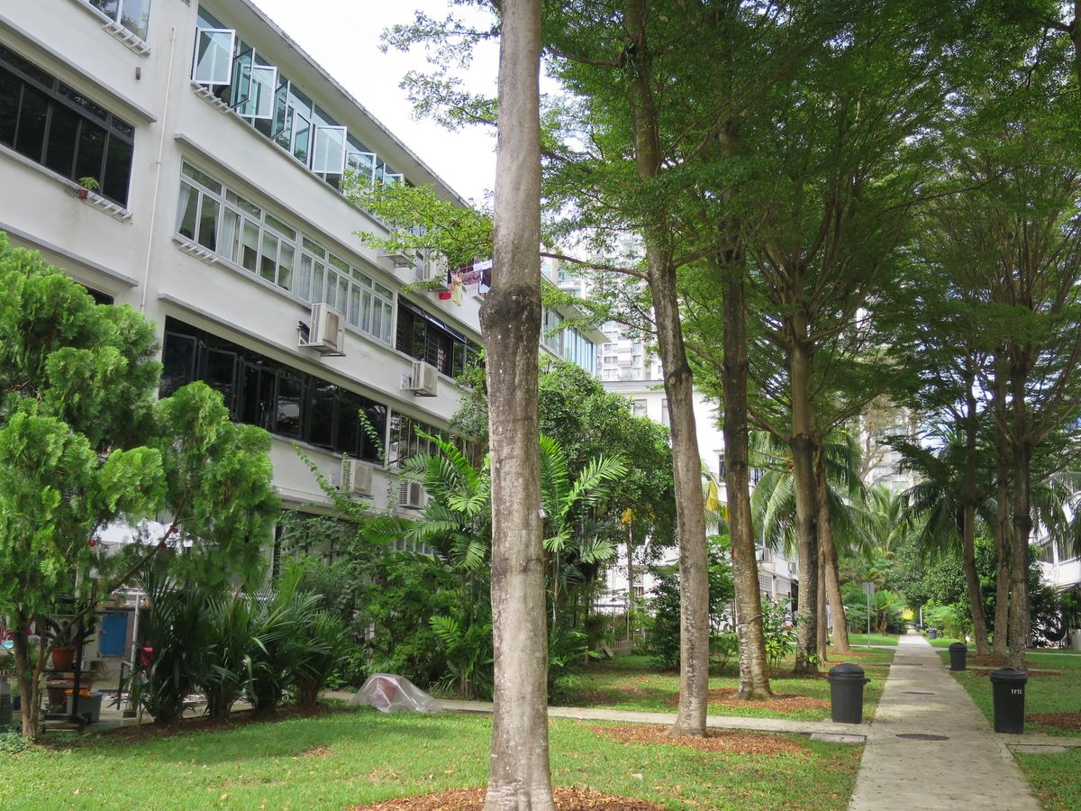 Tiong Bahru Walking Tour