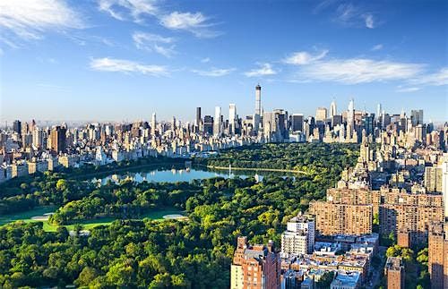 Paint & Picnic In Central Park