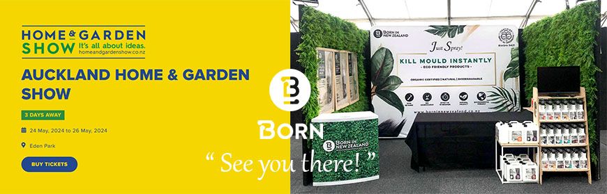 Born at Home & Garden Show, Eden Park