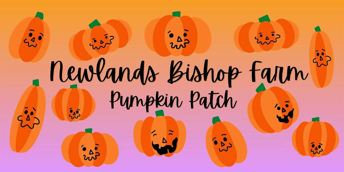 Pumpkin Patch at Newlands Bishop Farm - Weekend Events