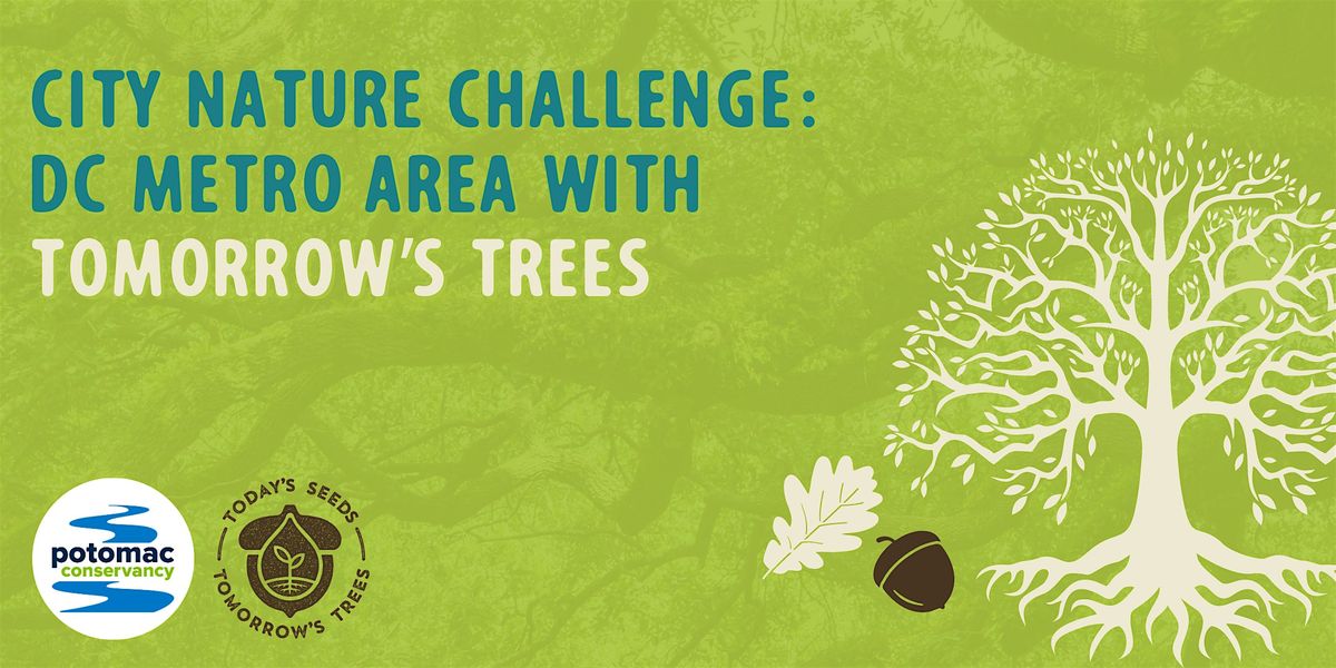 Intro to tree ID with Tomorrow\u2019s Trees: A City Nature Challenge Event