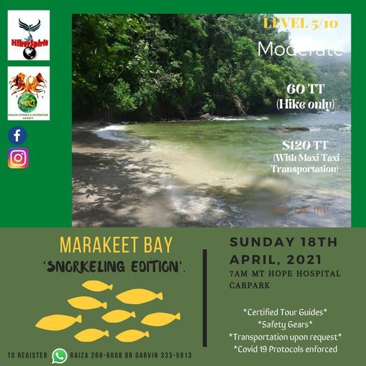 Marakeet Bay: Snorkeling Edition