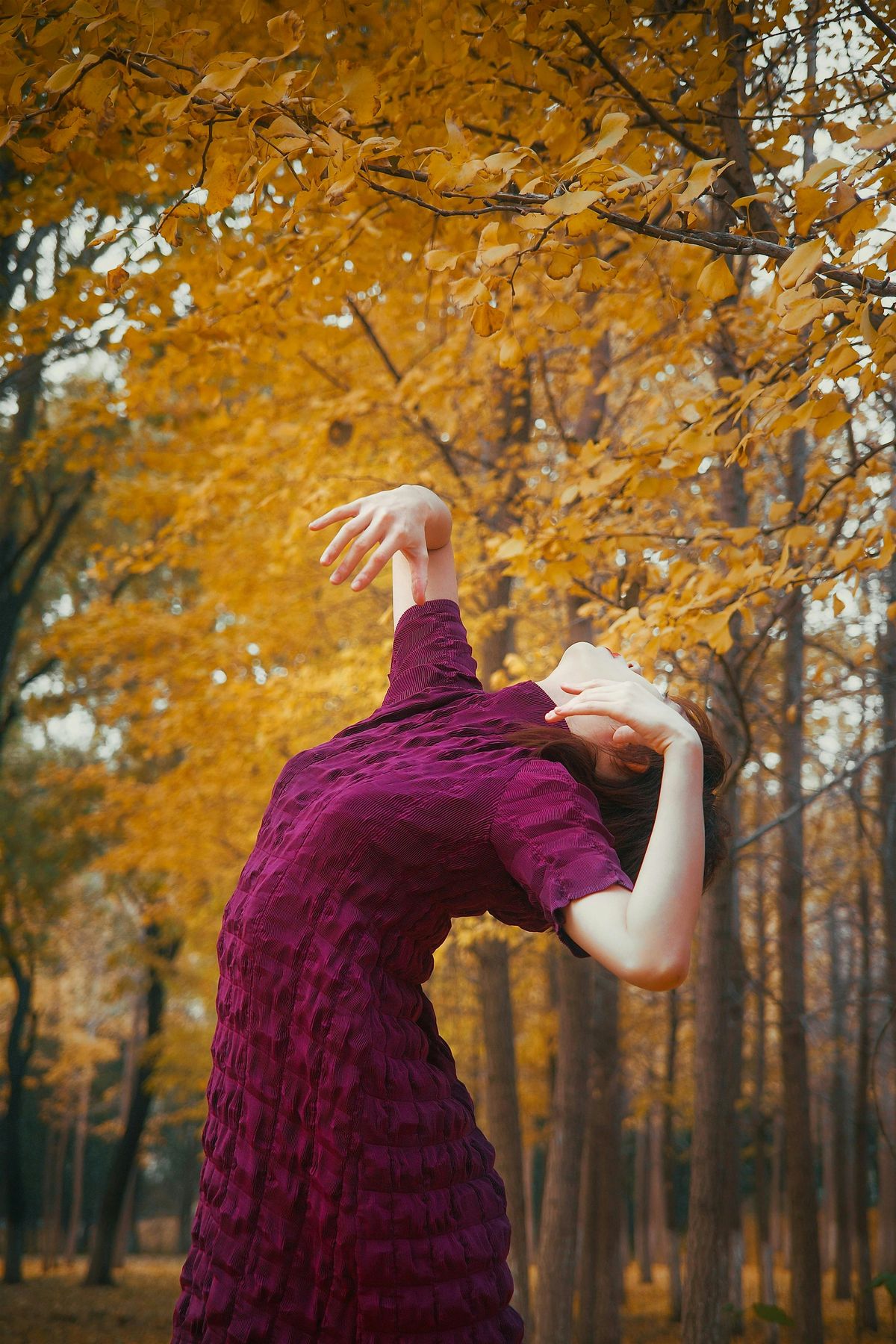 fall to dance - contemporary dance