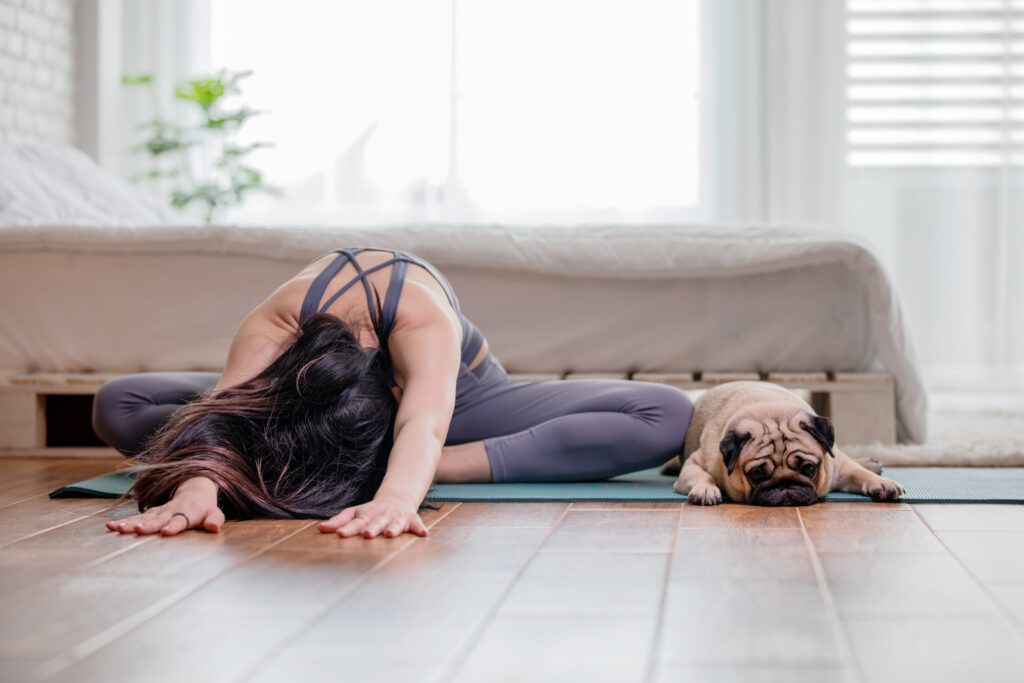 Pug Yoga - Session 1