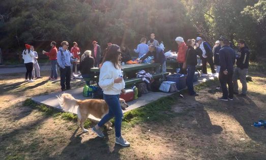Picnic In Golden Gate Park