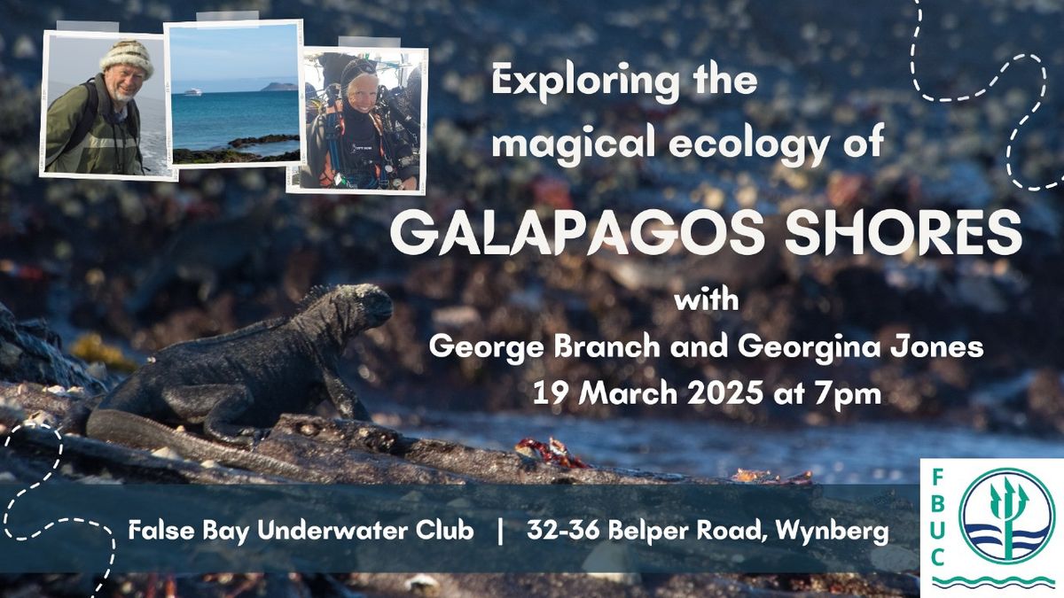 Exploring the magical ecology of Galapagos shores 