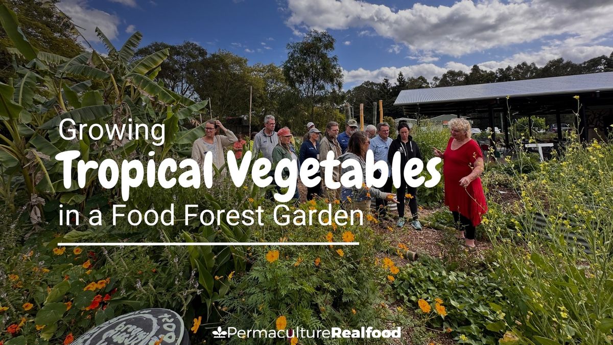 Pomona - Growing Tropical Vegetables in a Food Forest Garden