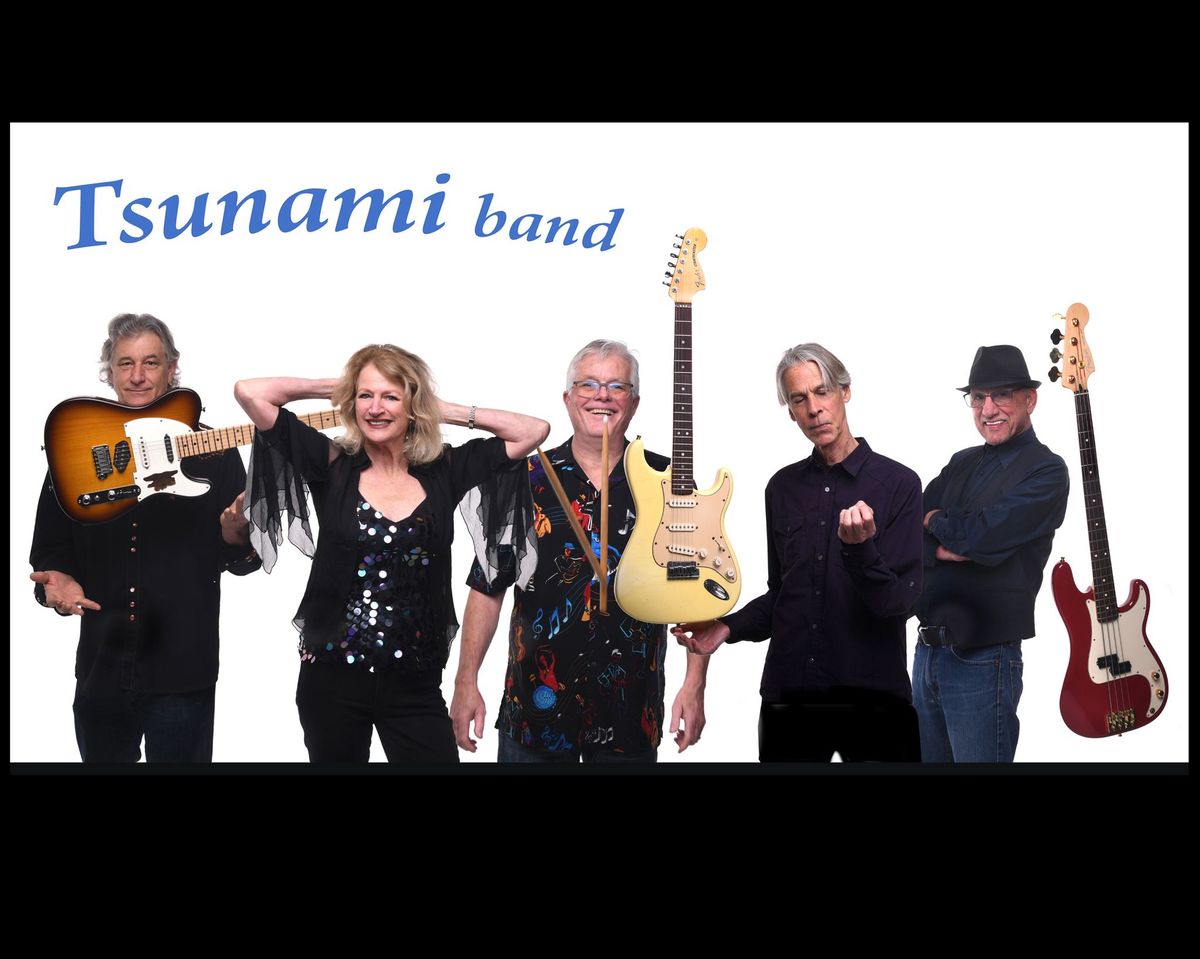 Tsunami plays The Crows Nest this Sat! Jan 4th. 8-11pm