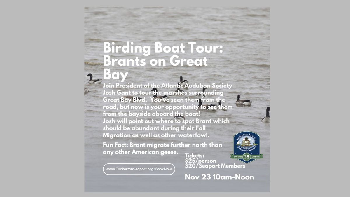 Birding Boat Tour: Brants on Great Bay