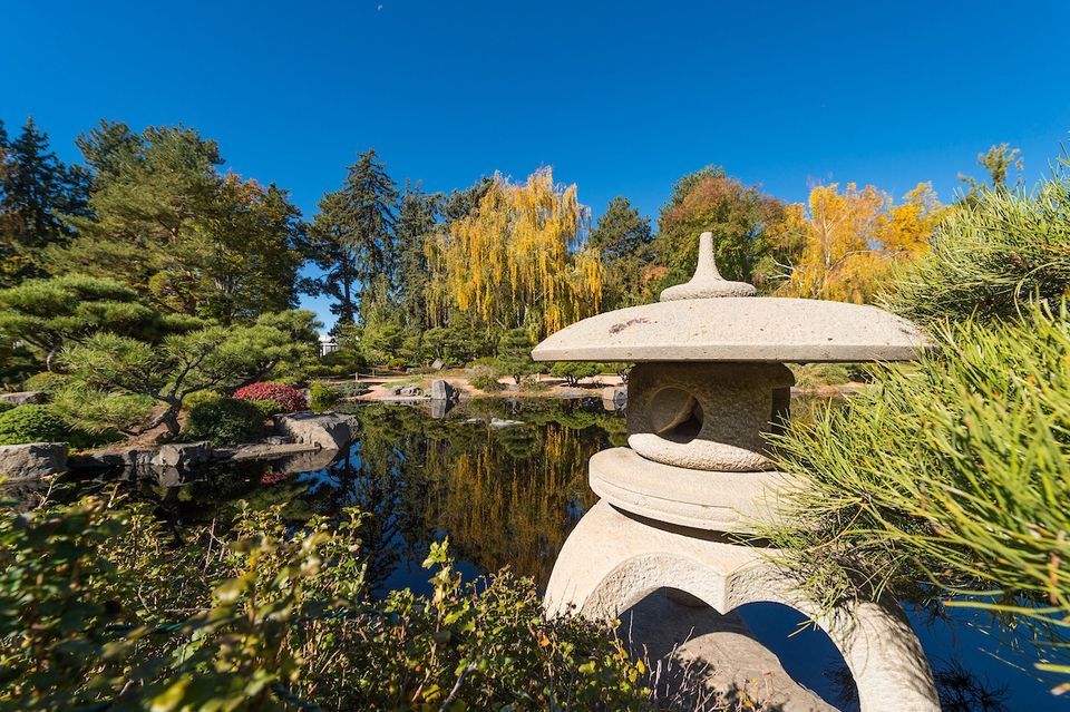  Japanese Garden Design Intensive - Foothill Inspired Landscapes