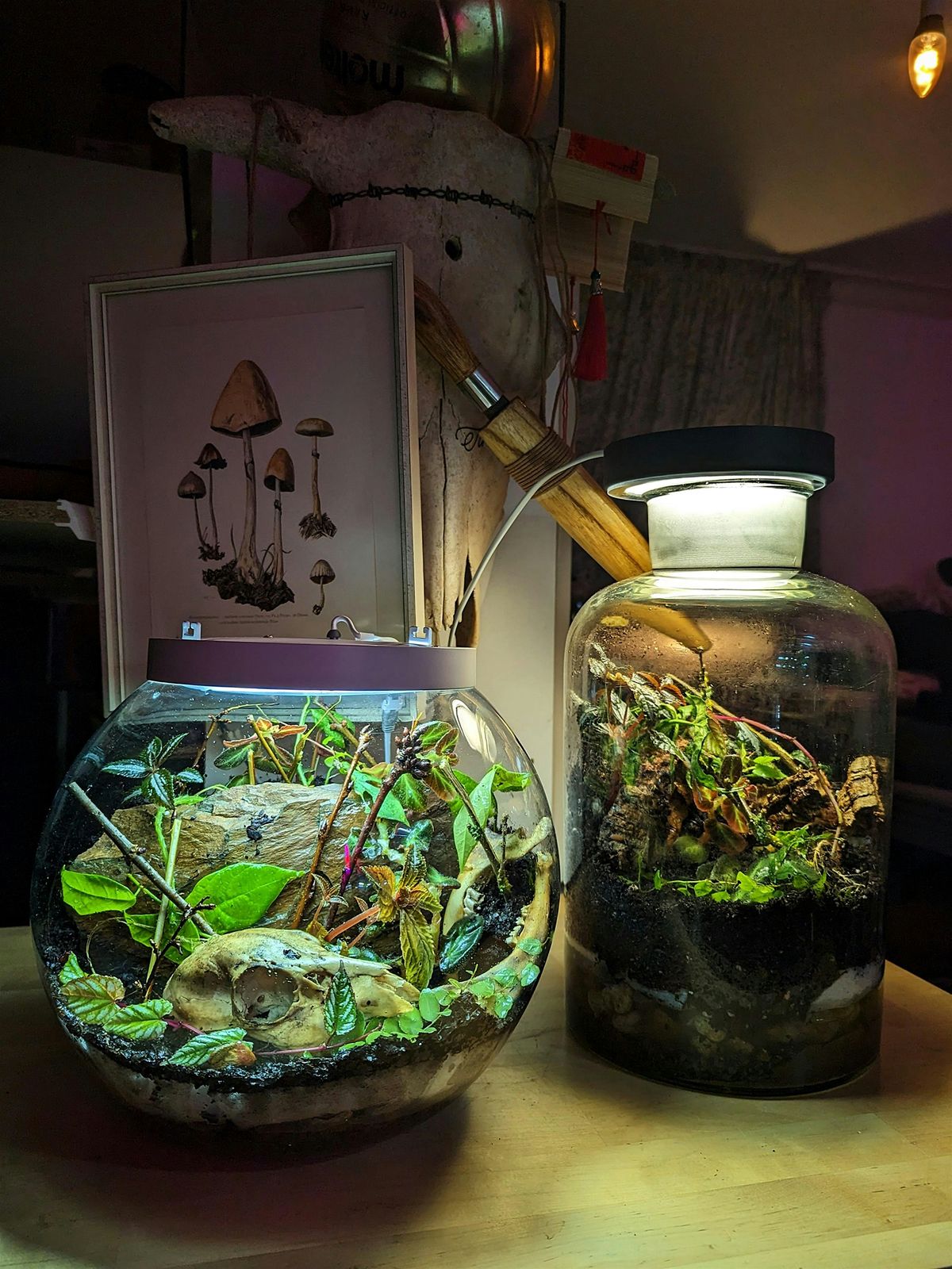 Workshop: Eternal Terrarium \u2013 selbsterhaltenden Flaschengarten bauen