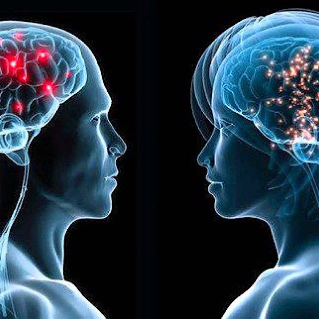 Are there male brains and female brains? And why do we care?