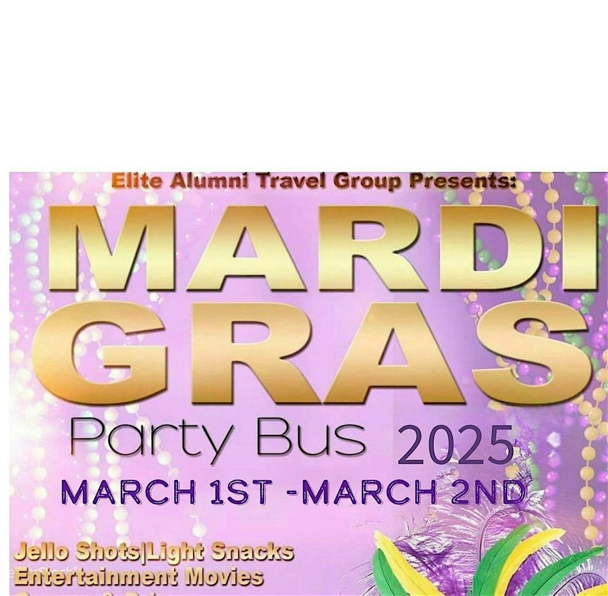 Mardi Gras Party Bus 2025