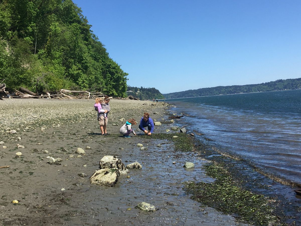 Sunrise Beach Low Tide Walk