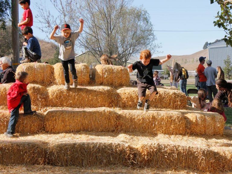 Straw Bale Slide