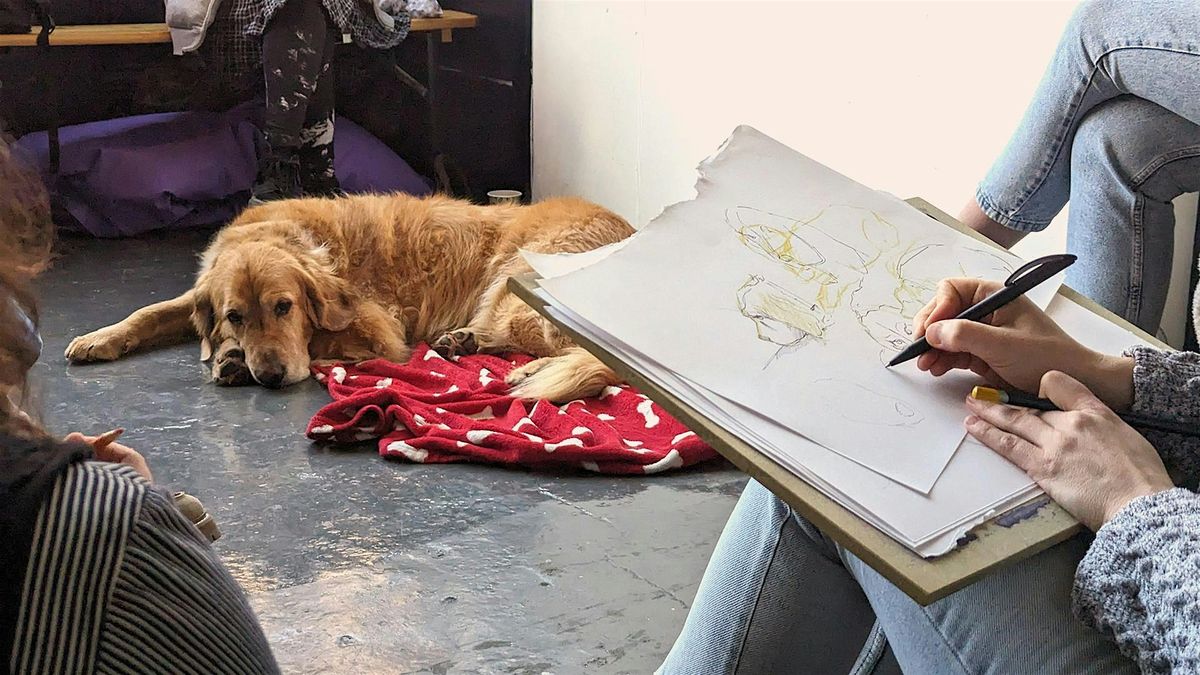 Life Drawing with Dogs - Bristol Art Class