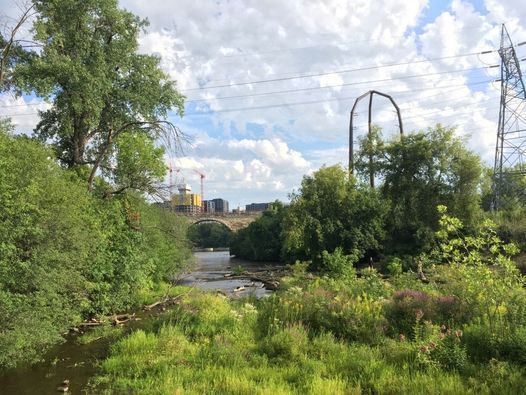 Father Hennepin Park Stewardship